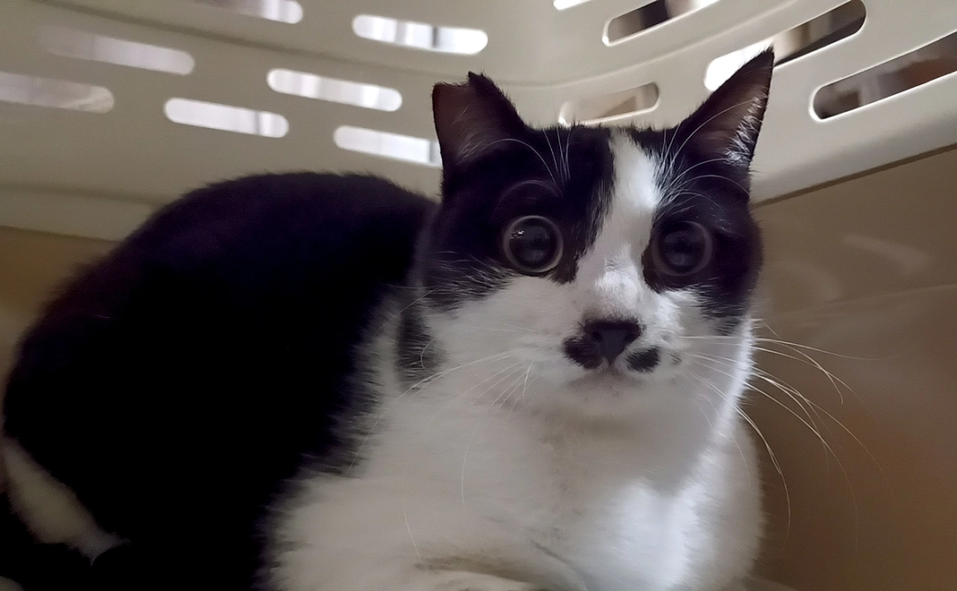 感謝のメール⑪