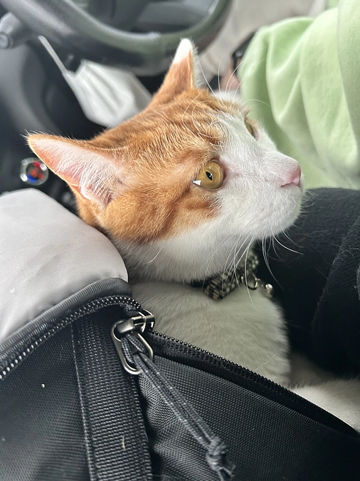 受信の結果です。