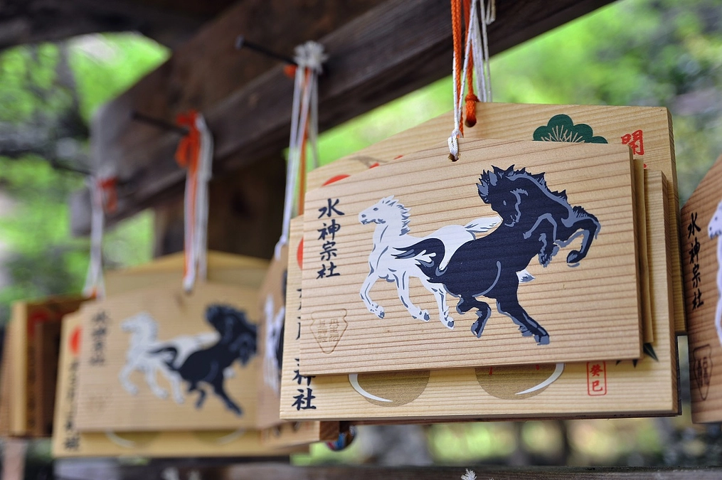 目標金額５０％達成いたしました！