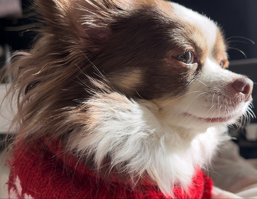 2023.12.19 本日、インスタライブを開催させていただきます。