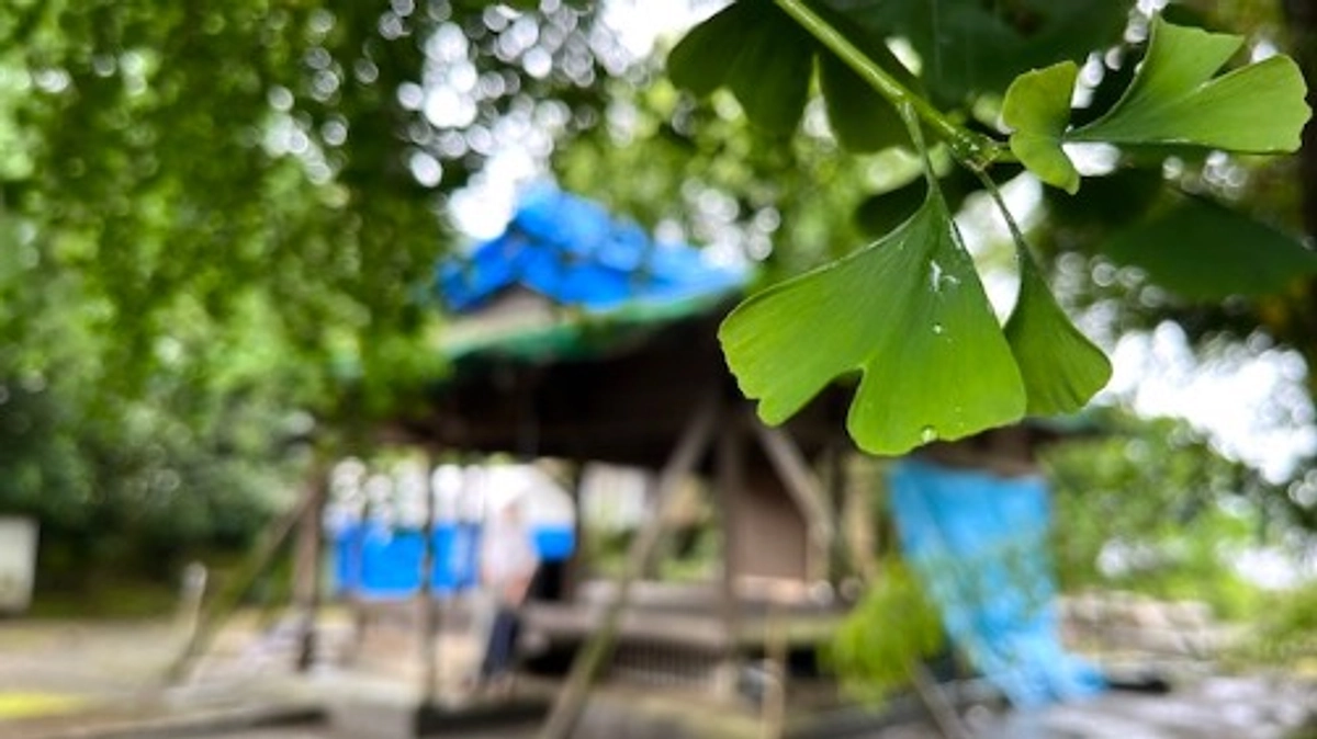 御用材の加工が進行中です！ ＜新しいプロジェクトへのご支援のお願いもございます＞