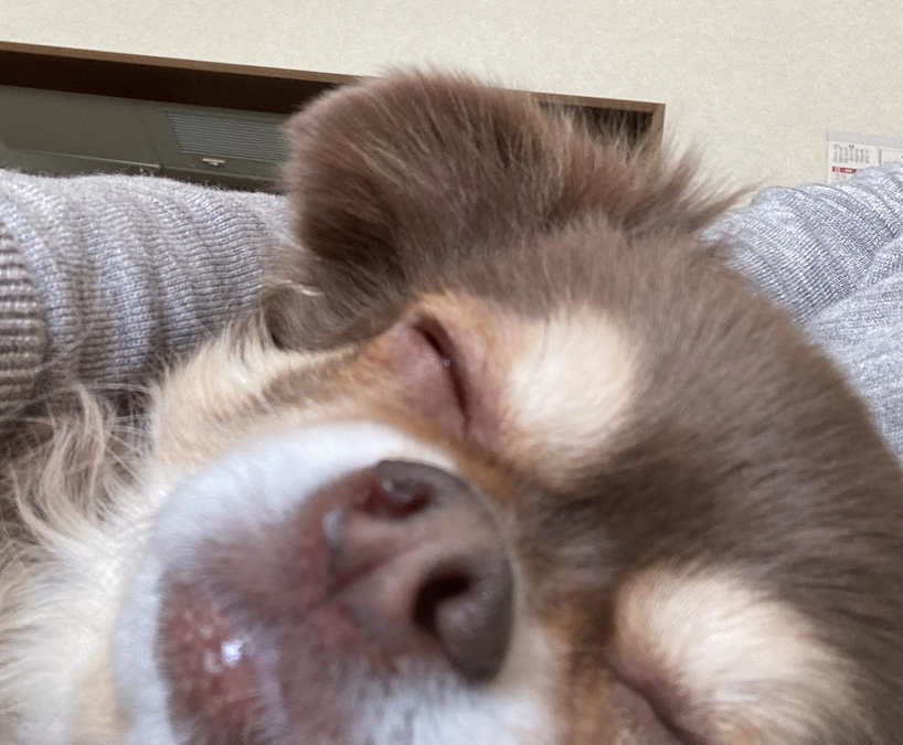 クラウドファンディング残り25日