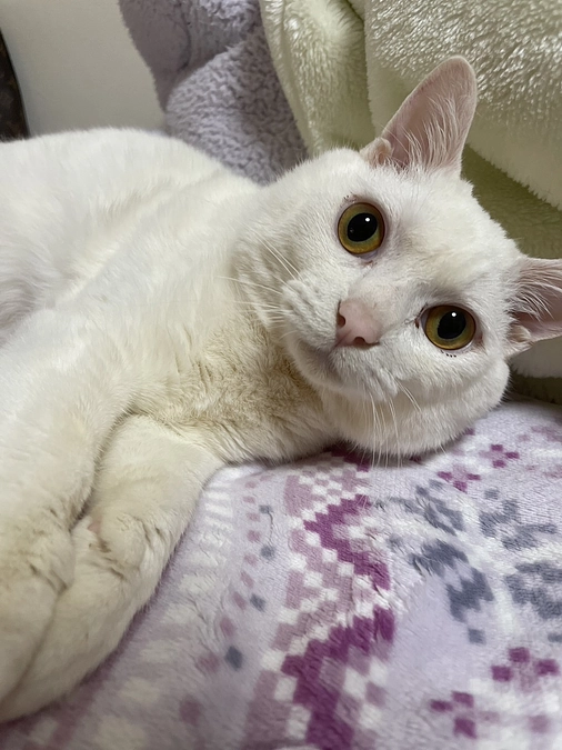 おかげさまです✨️ありがとうございます✨️😺