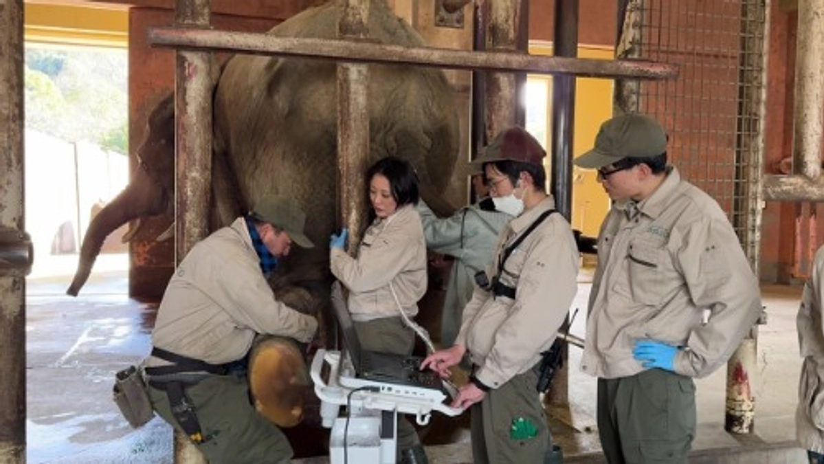 【メイちゃんの近況報告⑦】超音波検査を行いました