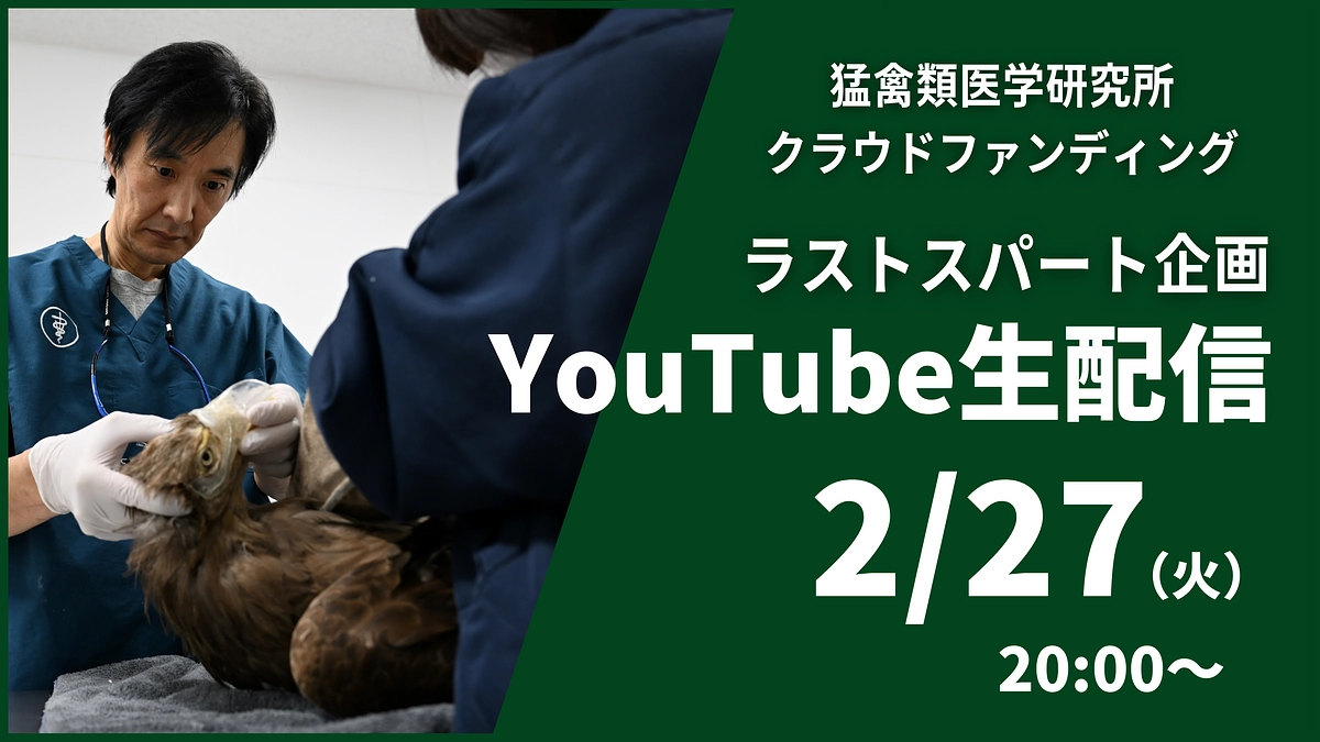 【ラストスパート企画！YouTube生配信のお知らせ】お見逃しなく！2/27(火) 20:00~