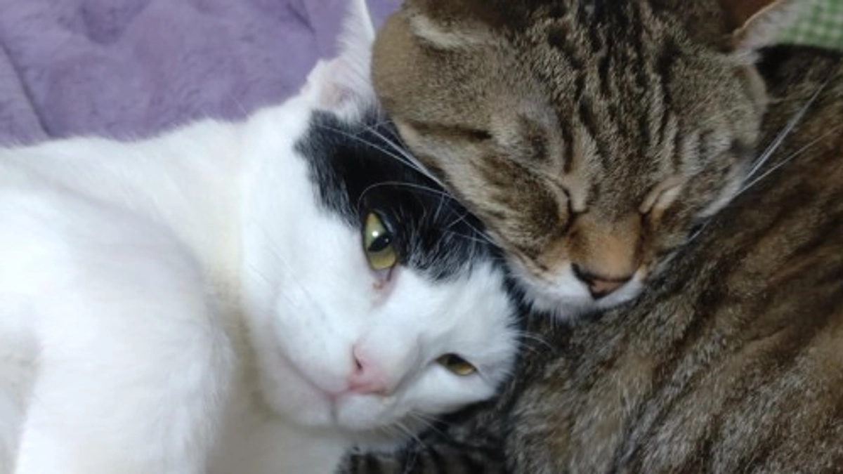 店舗移転のプロジェクトを立ち上げています