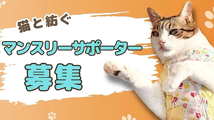 猫と紡ぐサポーター募集！保護猫たちの命を大切につないでいきたい