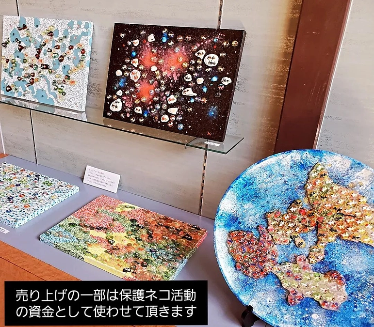 秋の保護猫に向けて！