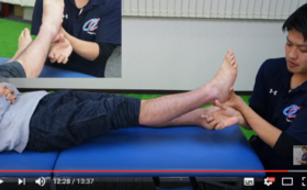 Webセミナー会員権3ヶ月無料