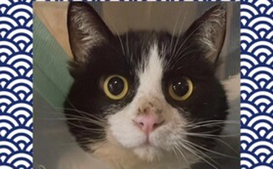 感謝のメール②