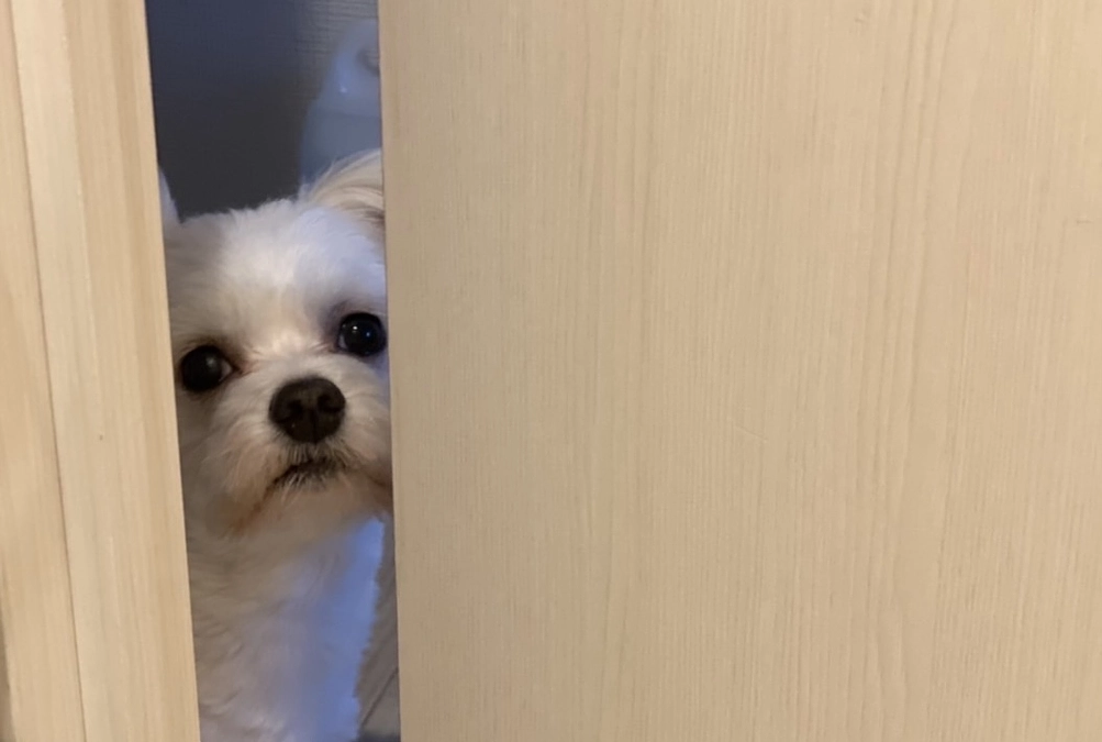 残り168,100円で達成です