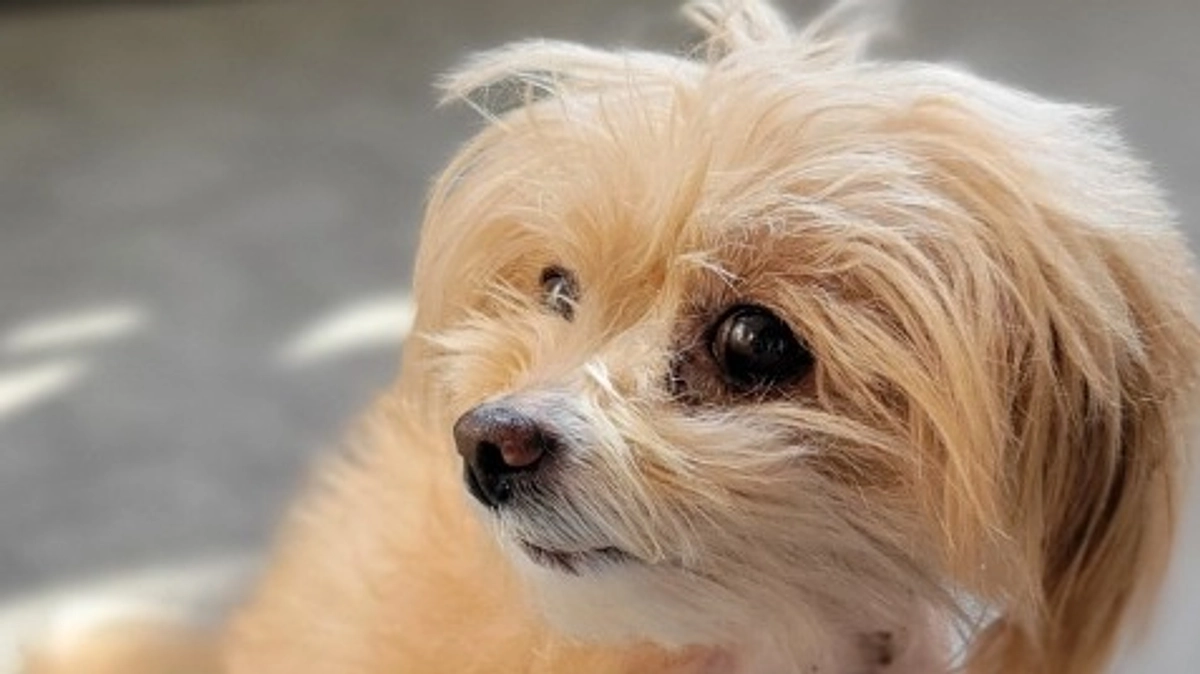 プロジェクト開始１ヶ月経過