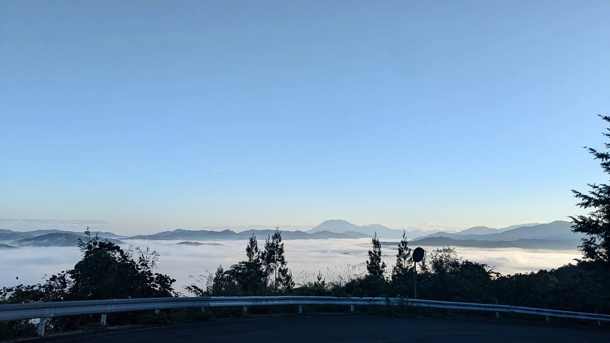 InstagramとFacebookも活動を投稿しております！