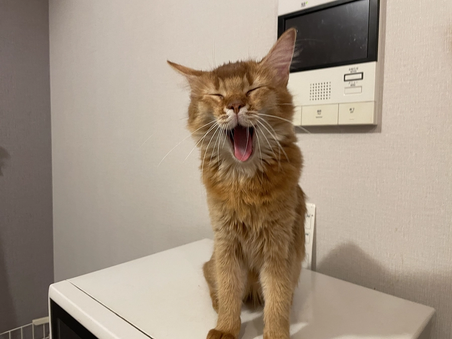 ★2023年10月26日：投薬37日目★