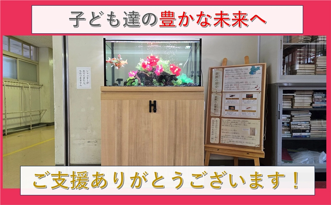 日本の文化“錦鯉”を新しいカタチで伝えていく｜錦鯉の価値を再定義