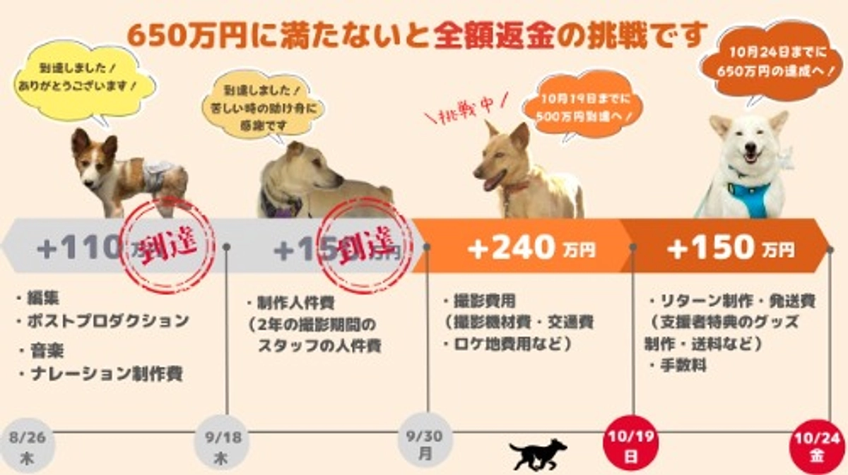 【STEP2到達！残り13日！】いただいたお気持ちを無にしたくない！感謝を胸に13日駆け抜けます！