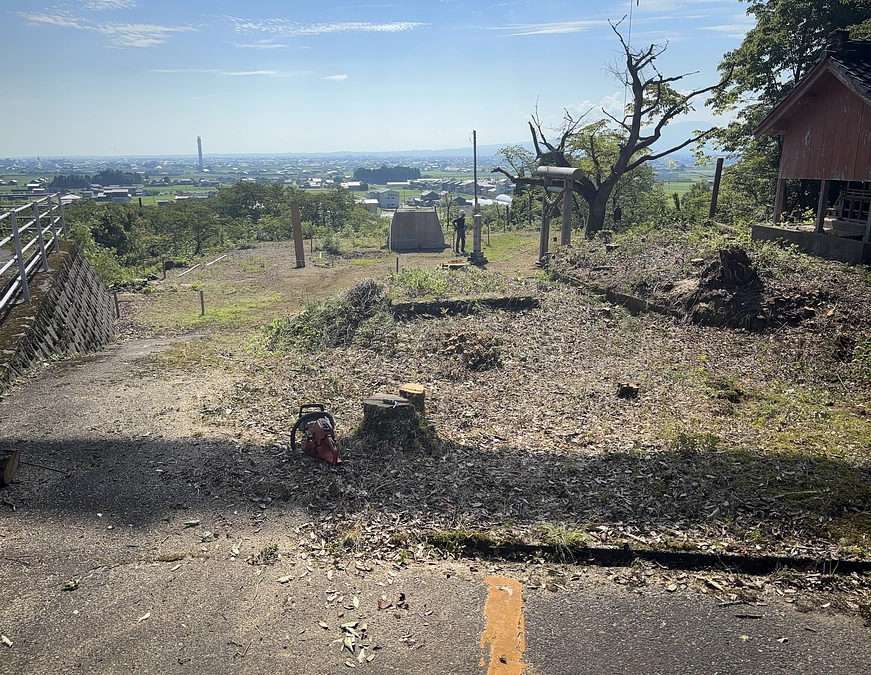 7月24日、市役所による周辺樹木の伐採