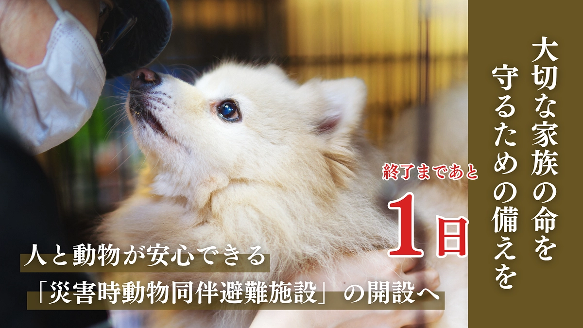 【カウントダウン｜残り1日】プロジェクトにかける想い