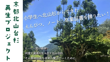未来を描くえんぴつを！北山台杉からの贈り物を子どもたちへ！ のトップ画像