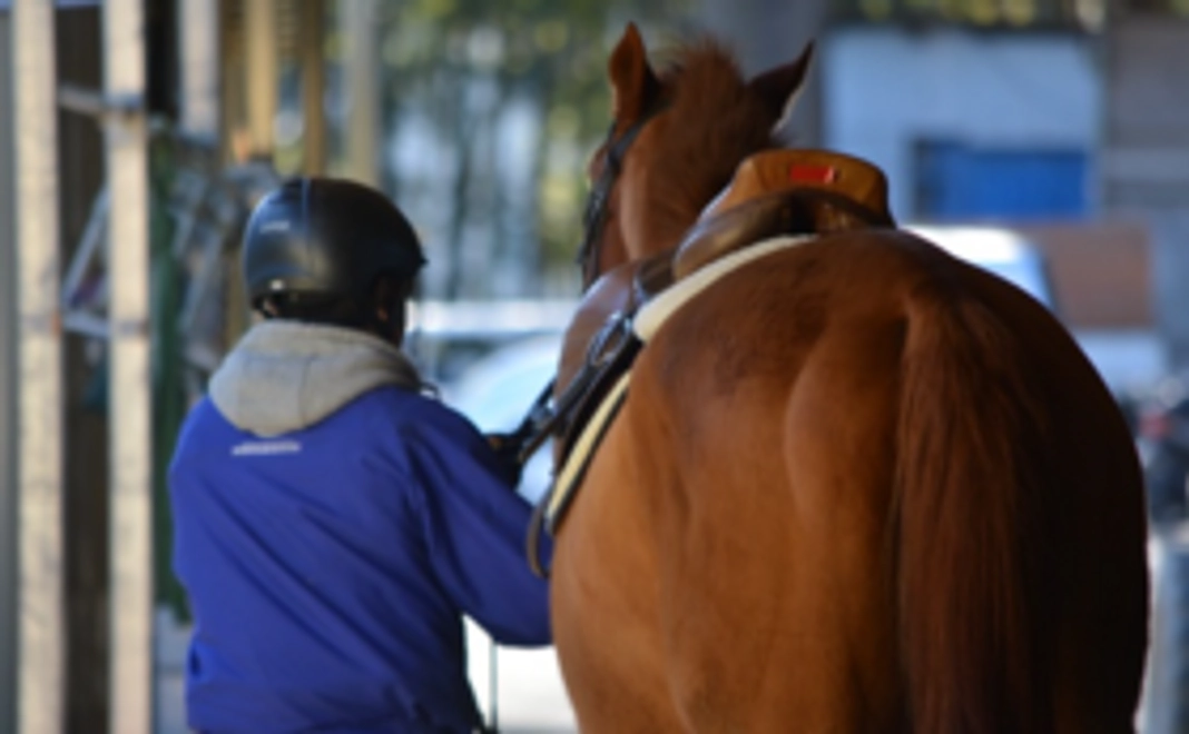 【Readyfor限定】命が繋がった馬の馬主風バッジ(黒)