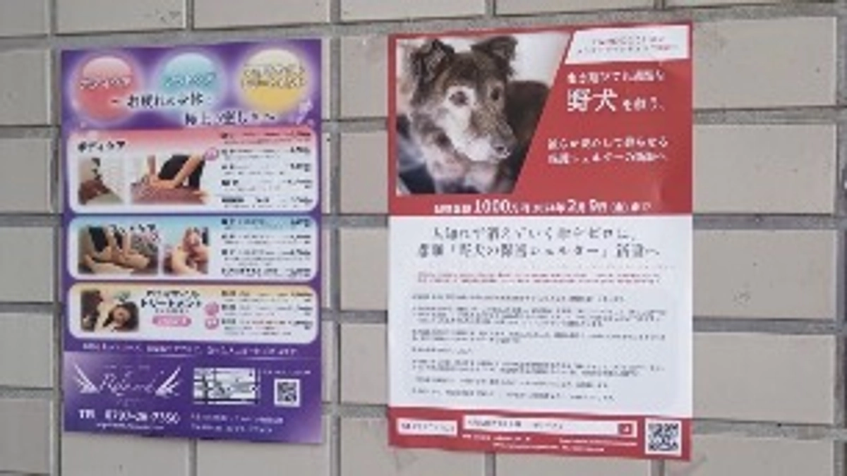 芦屋にあるリラクゼーションサロンRelaseed様から応援メッセージをいただいております！