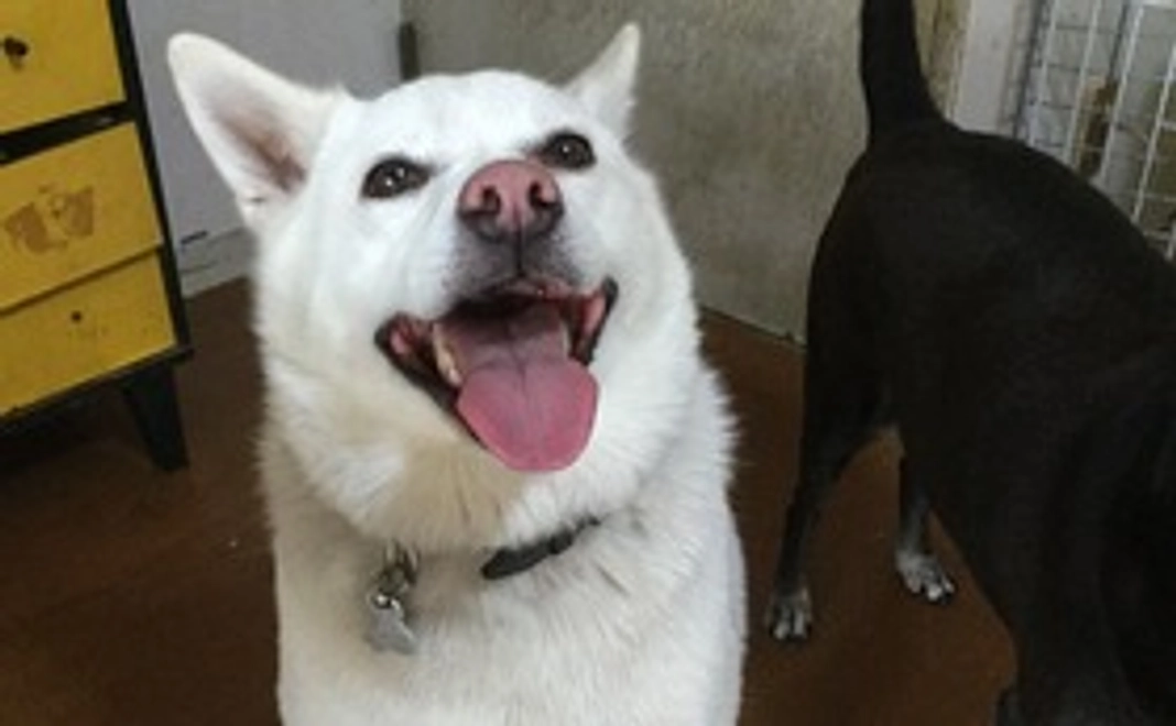 にっこりフレンズコース(ヒロ君、一緒に笑顔だワン)