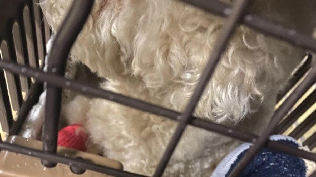 【クラファン残り19日】余命宣告をされた日