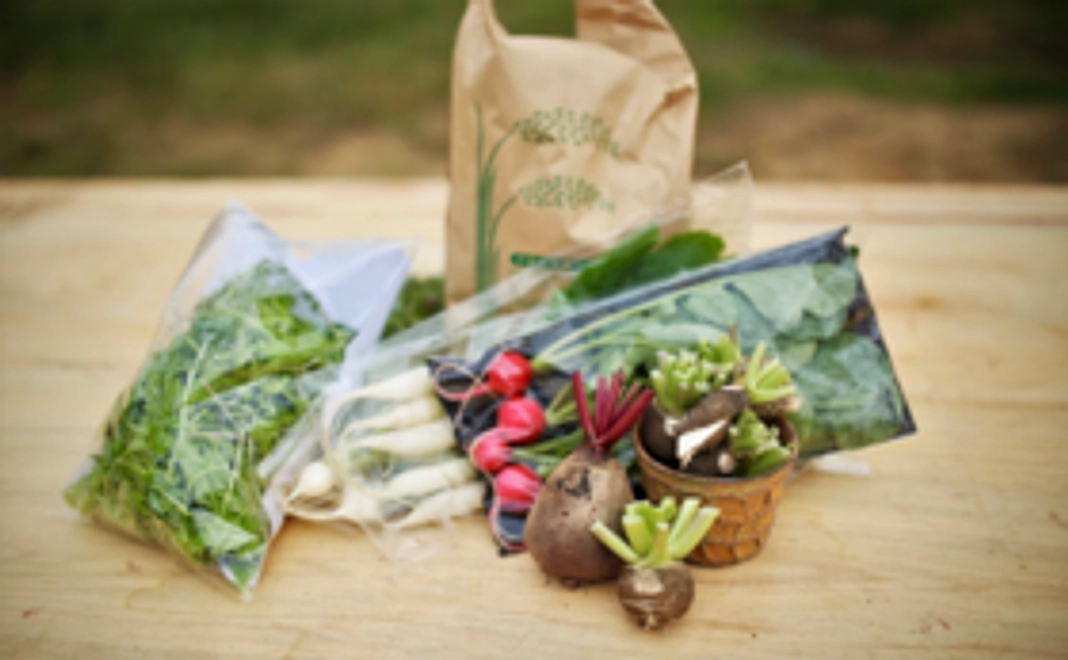 【県外の方向け】産地直送の野菜&お米セット【中】