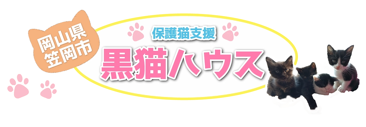 純・笠岡ラーメンとお笑い芸人「千鳥」の大悟のきびだんご返礼品に追加いたしました。 / 保護猫たちがより快適な空間で暮らせるように。環境整備へご支援を！ - ク…