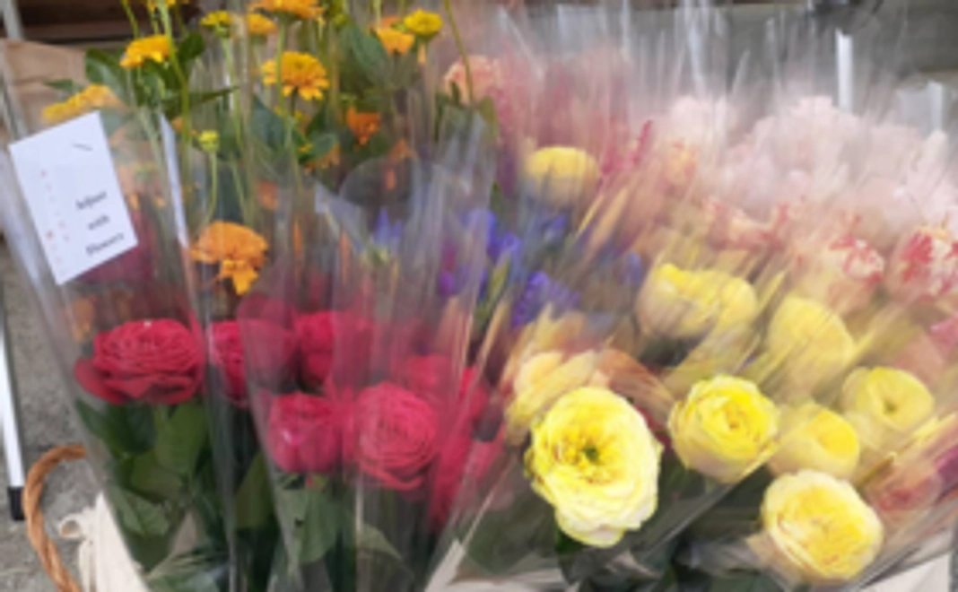 《花配りプロジェクト「ハナクバ」を支援！》お花で100人を笑顔に！