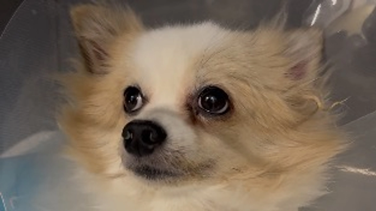 入院7日目(緊急事態)