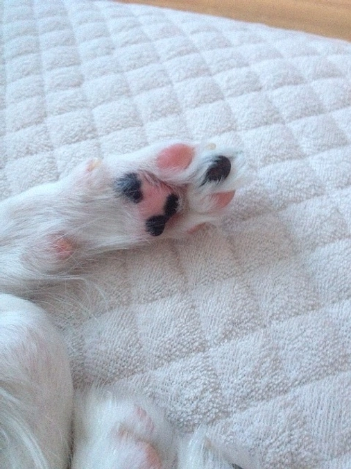 あと8日😣不安と緊張と不眠