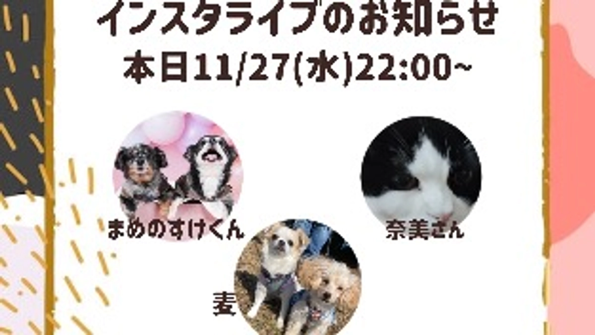この後22時からインスタライブです🌟