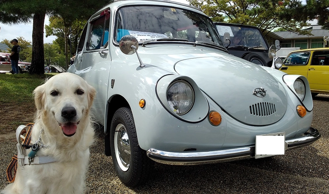 ビンテージカーとPR犬マギー（2023/11/01）