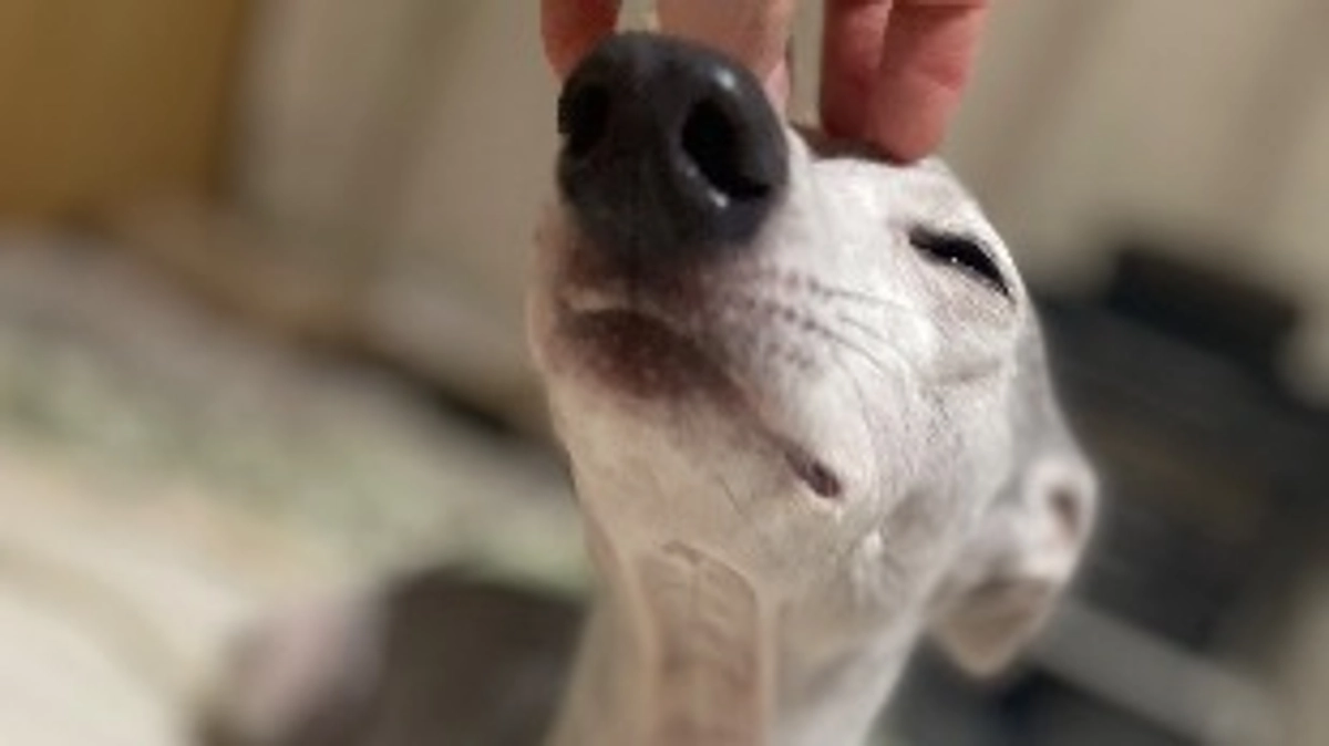 残り45時間⏳達成率45%💦