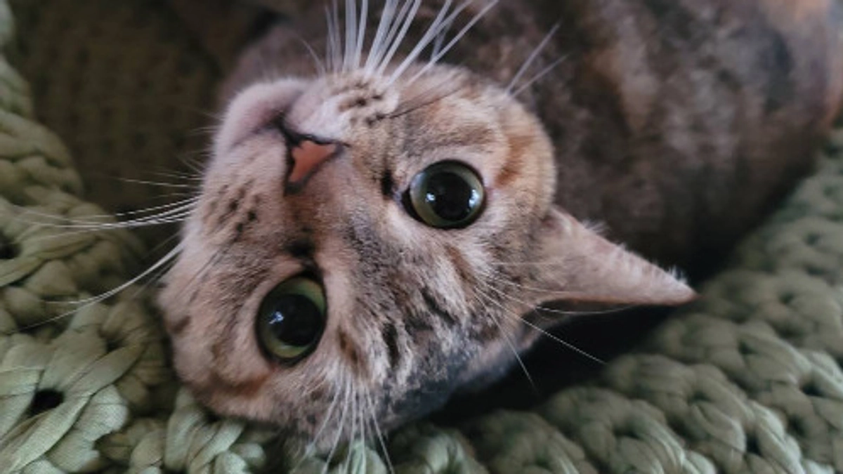 2024年6月21日グランドオープンしました