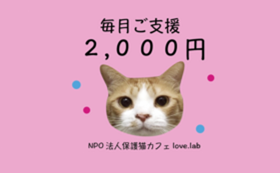 毎月ご支援2,000円コース