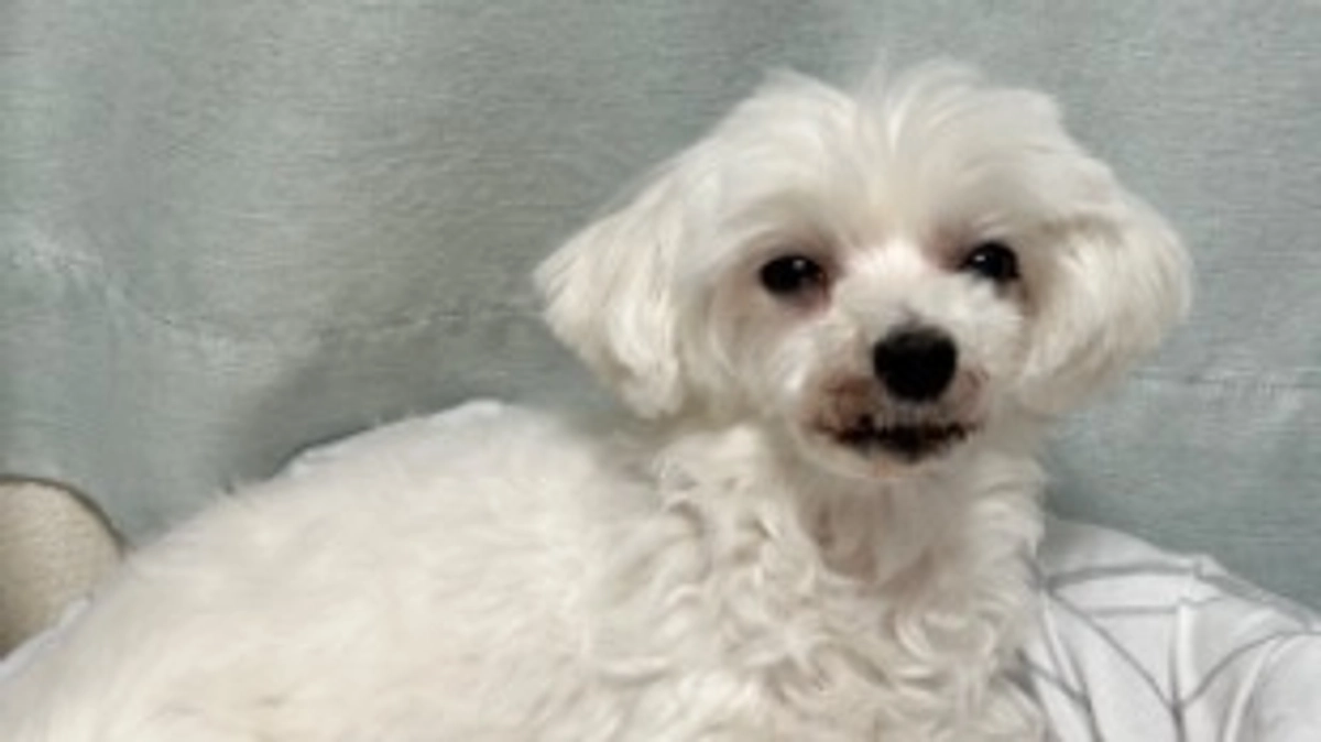 代理支援金 反映のご報告📝