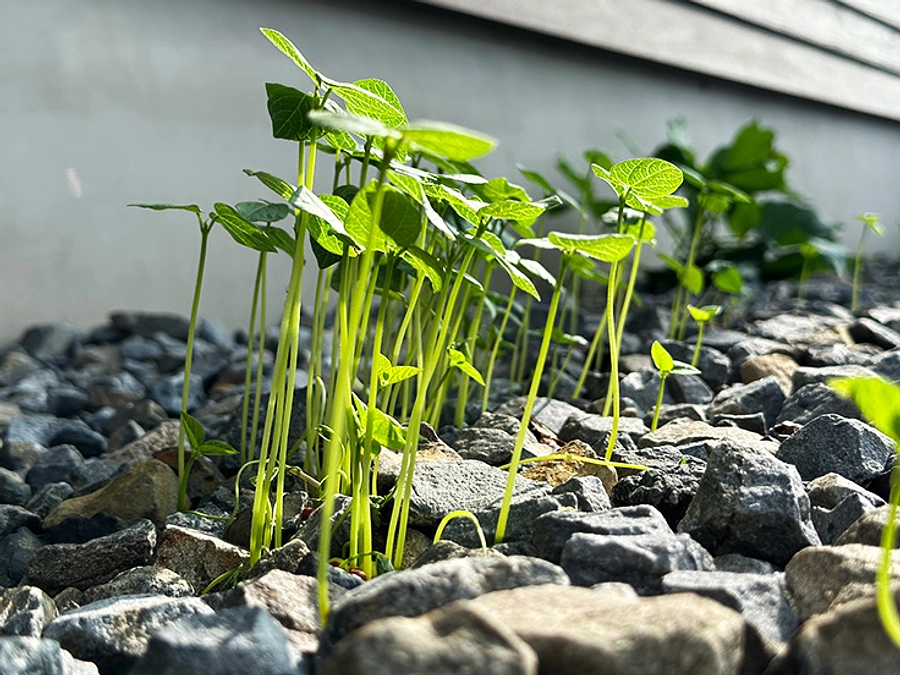 【NEXT GOAL 達成御礼】挑戦終了。ありがとうございました！！