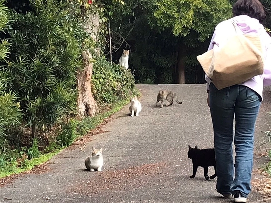 【55％達成】皆様からの応援コメントを紹介します！