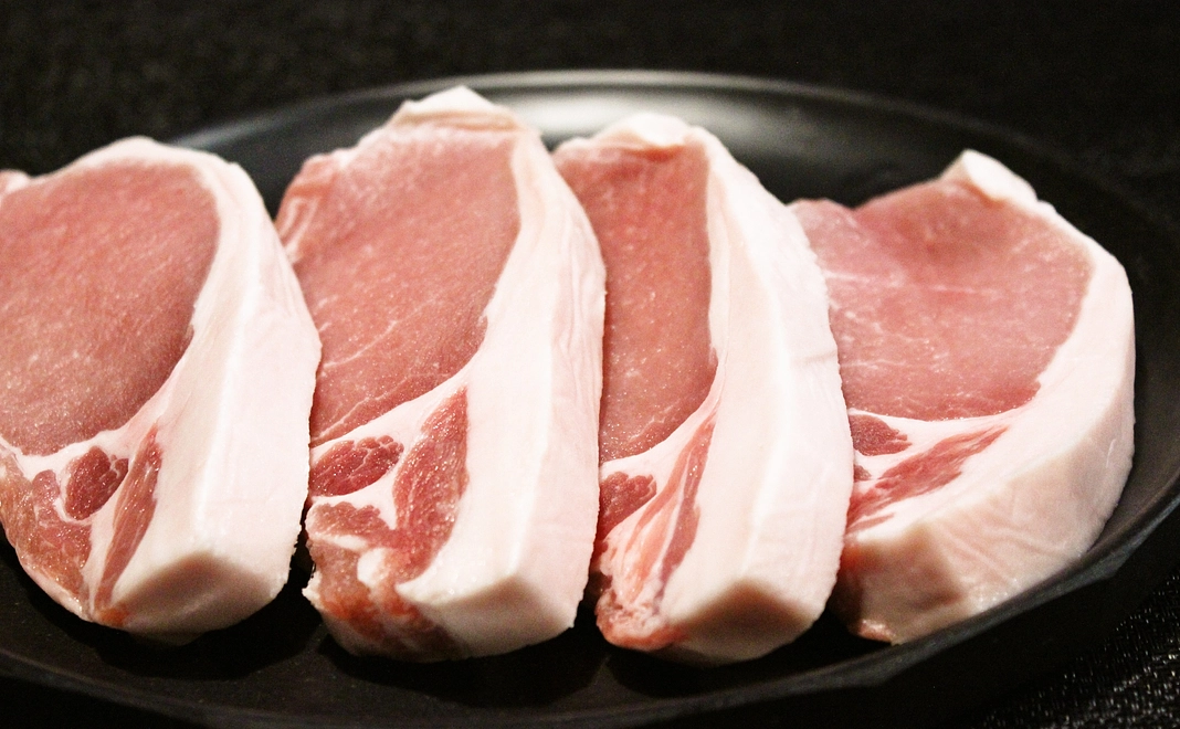長崎県 プレミアムポーク 秘宝 西海の豚 とんかつ ステーキ用ロース肉 1kg(500g×2パック)