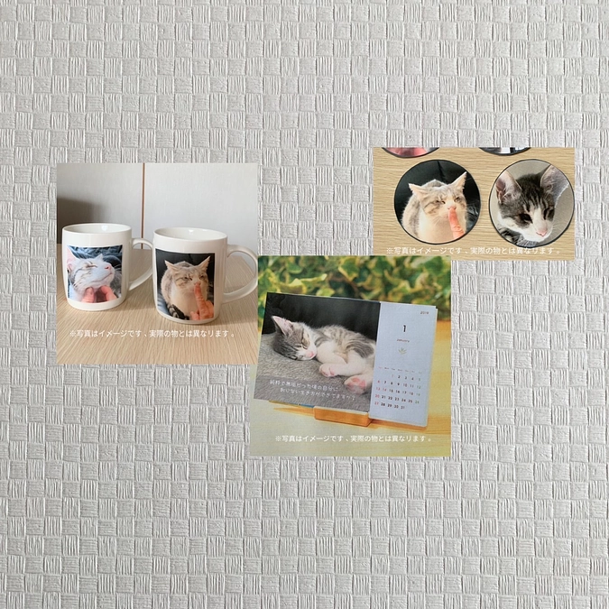 リターン品を追加しました