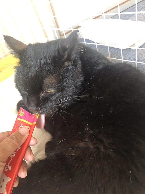 お家にも慣れてきました☆