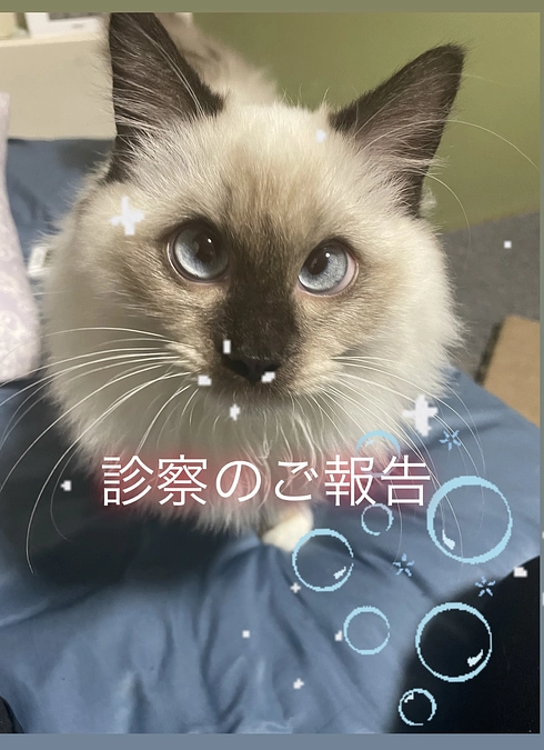 1/18(10週間検診 診療費報告)