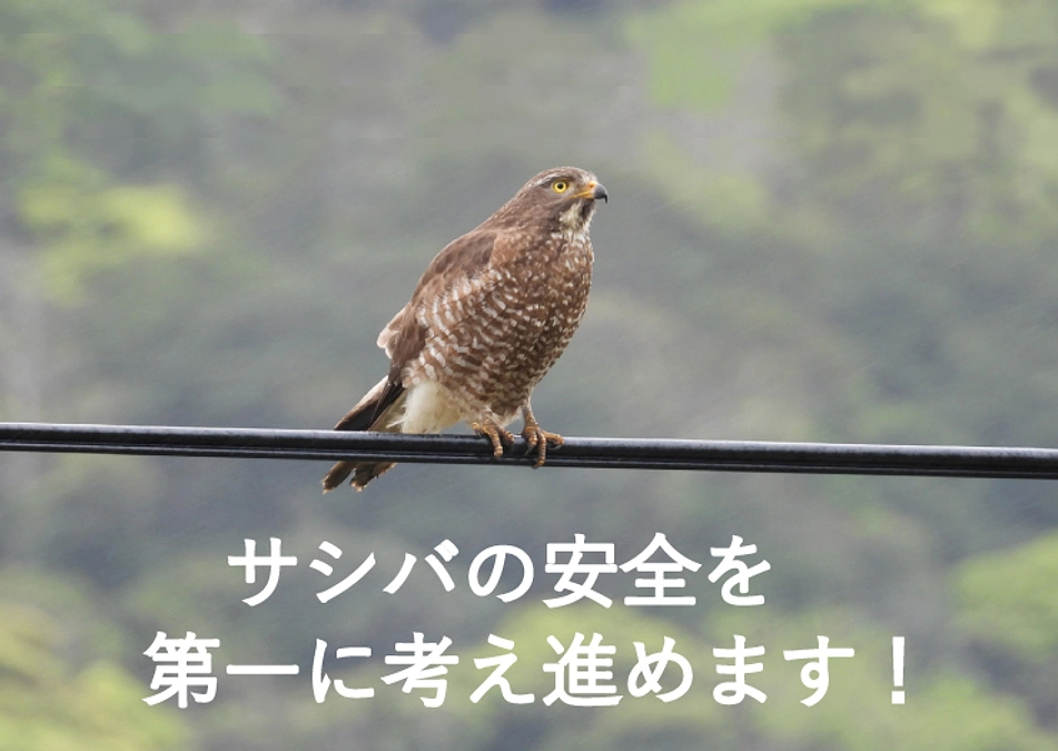 【サシバの安全第一】GPS装着数の増量について