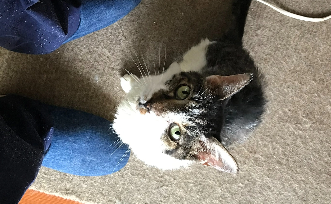 動画をYoutubeにUPします。1000