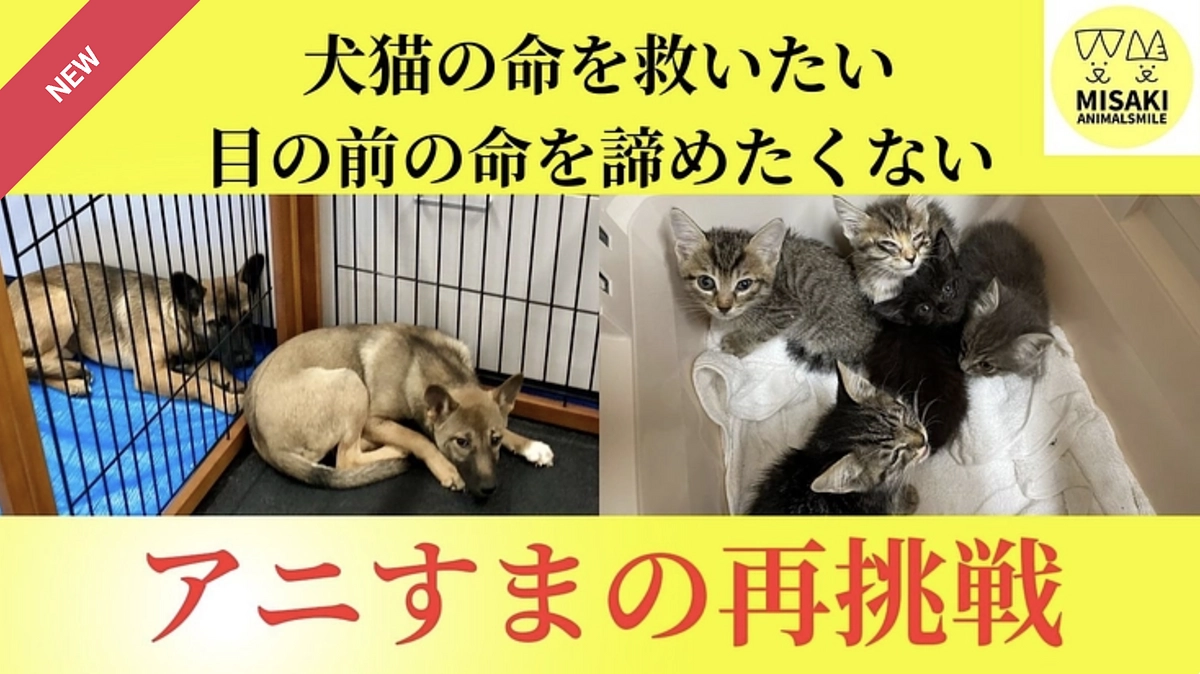 KDPはみさきアニマルすまいる様の再挑戦を応援いたします！！