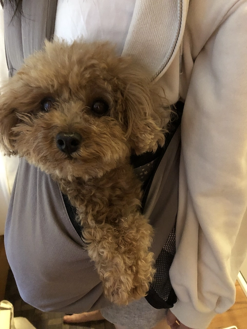 今日から散歩へ行きます❣️