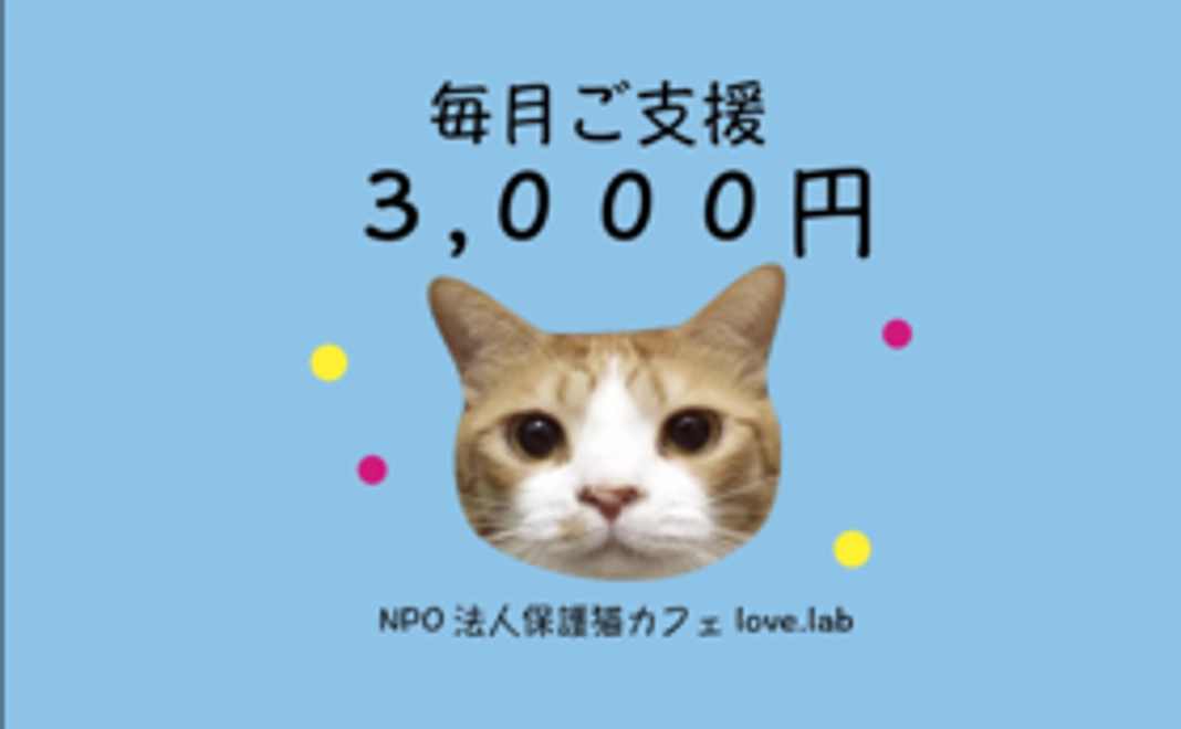 毎月ご支援3,000円コース