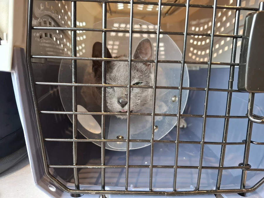 本日も無事に放射線治療が終わりました。